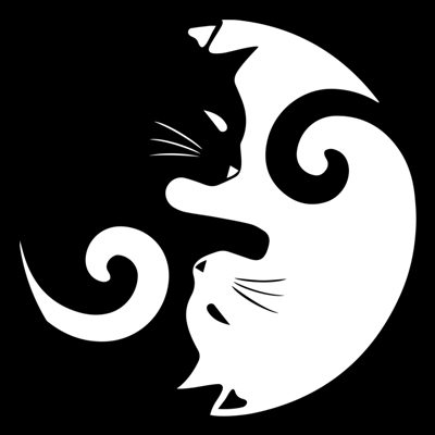  Yin Yang Cats