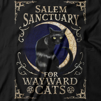  Salem Cat