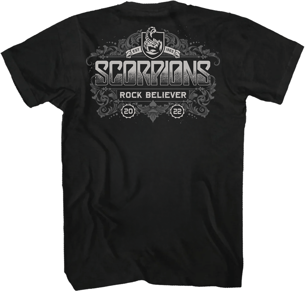  Scorpions Rock Believer